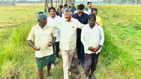 ఏపీలో కేంద్ర బృందాల వరుస పర్యటనలు