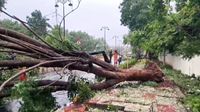 Cyclone Arnab:తుపాను అర్నబ్​ అల్లకల్లోలం, భారీ వర్షాలు - ఈ జిల్లాల్లో ఫ్లాష్ ఫ్లడ్స్...!!