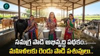 సమగ్ర పాడి అభివృద్ధి పథకం: మూడువేల రూపాయలకే.. 90 వేలు విలువైన పాడి పశువు