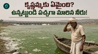 Jurala చరిత్రలోనే తొలిసారి రంగు మారిన నీరు! కృష్ణమ్మ విషమయం?
