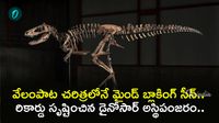 అస్థిపంజరానికి వేలంపాట.. 12 నిమిషాల్లో 450 కోట్లు! ప్రపంచంలోనే మూడో స్కెలిటన్