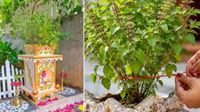 వాస్తు ప్రకారం.. ఇంట్లో తులసి మొక్కను ఉంచకూడని ప్రదేశాలు