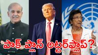 పాక్ ప్రధాని బిస్కెట్ వేసినా పడని నోబెల్ కమిటీ.. భంగపడ్డ డొనాల్డ్ ట్రంప్!