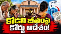 కోడలికి హైకోర్టు షాక్.. అత్తమామల కోసం సంచలన నిర్ణయం!
