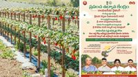 ఏపీకి లక్షకోట్ల వరం.. హార్టీకల్చర్ హబ్ తో రాయలసీమ ఇకపై రతనాల సీమ! ఏపీకి లక్షకోట్ల వరం.. హార్టీకల్చర్ హబ్ తో రాయలసీమ ఇకపై రతనాల సీమ!