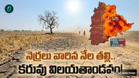 అతలాకుతలమైన తెలంగాణ..  365 మండలాల్లో కరువు విలయతాండవం