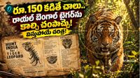 డాలర్ల కోసం పులుల్ని చంపుకున్నాం! యాడ్స్ ఇచ్చి మరీ పులి వేట.. ఇందిరా గాంధీ ఆర్డర్స్..?