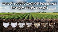 Underwear Test: వ్యవసాయంలో కొత్త ట్రెండ్, మీ భూమి జాతకం మారాల్సిందే! 