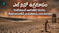 చుక్క నీరు కూడా దొరకదు! పాతాళానికి పడిపోయిన భూగర్భ జలాలు