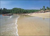 Goa, next target of al-Qaeda?