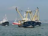 80 trawlers missing in cyclone-hit Arabian Sea