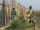 Laden continues to haunt even after death; border on alert