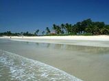 South Asian crude oil spillage spoiling Goa beaches