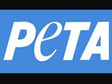 PETA urges to avoid meat during Christmas