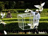 Bird flu detected in Kerala