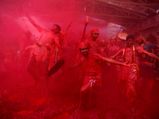 Holi revelry across Punjab, Haryana