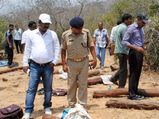 Red sandalwood smuggling: Former Congress Minister to be questioned as link reaches West Bengal