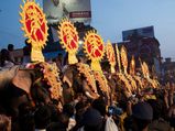 Don't issue ownership certificates to elephant owners: SC