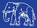 BSP leaders arrested for staging dharna
