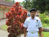 A daredevil diver from Bengal who loves rasagulas & football