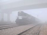 Fog, cold affect life in Punjab, Haryana