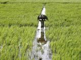 Farmers, youth get new schemes in Punjab budget