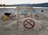 Death toll due to swine flu rises to 31 in Punjab