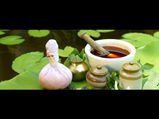 Ayurveda, India's gift to world: Minister