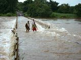 Floods claim 13 lives in MP, Assam