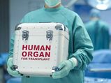 Green corridor in Bhopal transports donated liver in 13 minutes