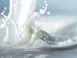 Madhya Pradesh: Spurious milk factory busted in Morena, two arrested