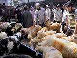 Kerala celebrates Eid