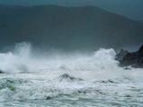 Storm 'norwester' leaves10 dead in West Bengal