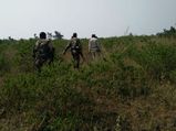 8 SIMI operatives who escaped from Bhopal jail killed in encounter
