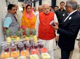 Centre gives nod to set up mega food park in Mandsaur 