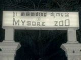 Avian flu scare: Mysuru zoo closed till Feb