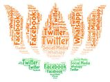 Twitter, Facebook, Whatsapp: BJP’s steps up online WAR