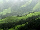 Over 50,000 sq km area of Western Ghats identified as ecologically sensitive 
