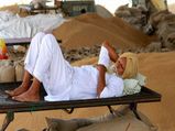 Govt hikes customs duty on wheat to 30% to curb cheaper imports 