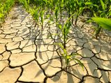 Centre declares Kerala drought-hit, announces Rs 24,000 crore relief to eight states