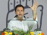 Barbaric says Rahul Gandhi on cow slaughter by his party workers