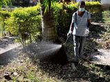 18,760 dengue cases reported in India: Health Ministry