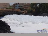 Bellandur lake froth: NGT summons top officials, demands action taken report