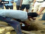 Madhya Pradesh: Labourer who had fallen into uncovered borewell rescued