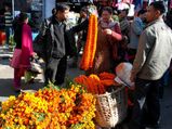 Tihar festivities end on a subdued note in the Hills of North Bengal
