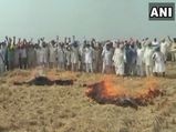 Punjab, Haryana farmers continue stubble-burning despite ban, demand subsidy