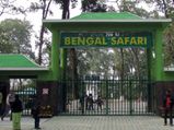 Animals arrive at the Bengal Safari Park from Jamshedpur and Delhi