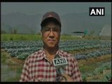 How vegetable cultivation is helping Manipur farmers to harvest ‘profit’ 