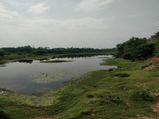 Karnataka elections: With Shimsha River drying up in Maddur, farmers fight for water, livelihood