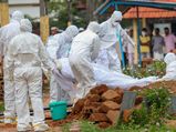 Nipah virus: Death toll rises to 14 in Kerala, sales of fruits plummet